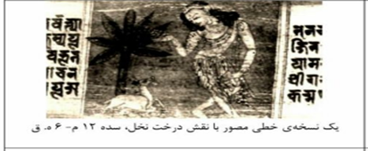 نسخه خطی درباره درخت نخل