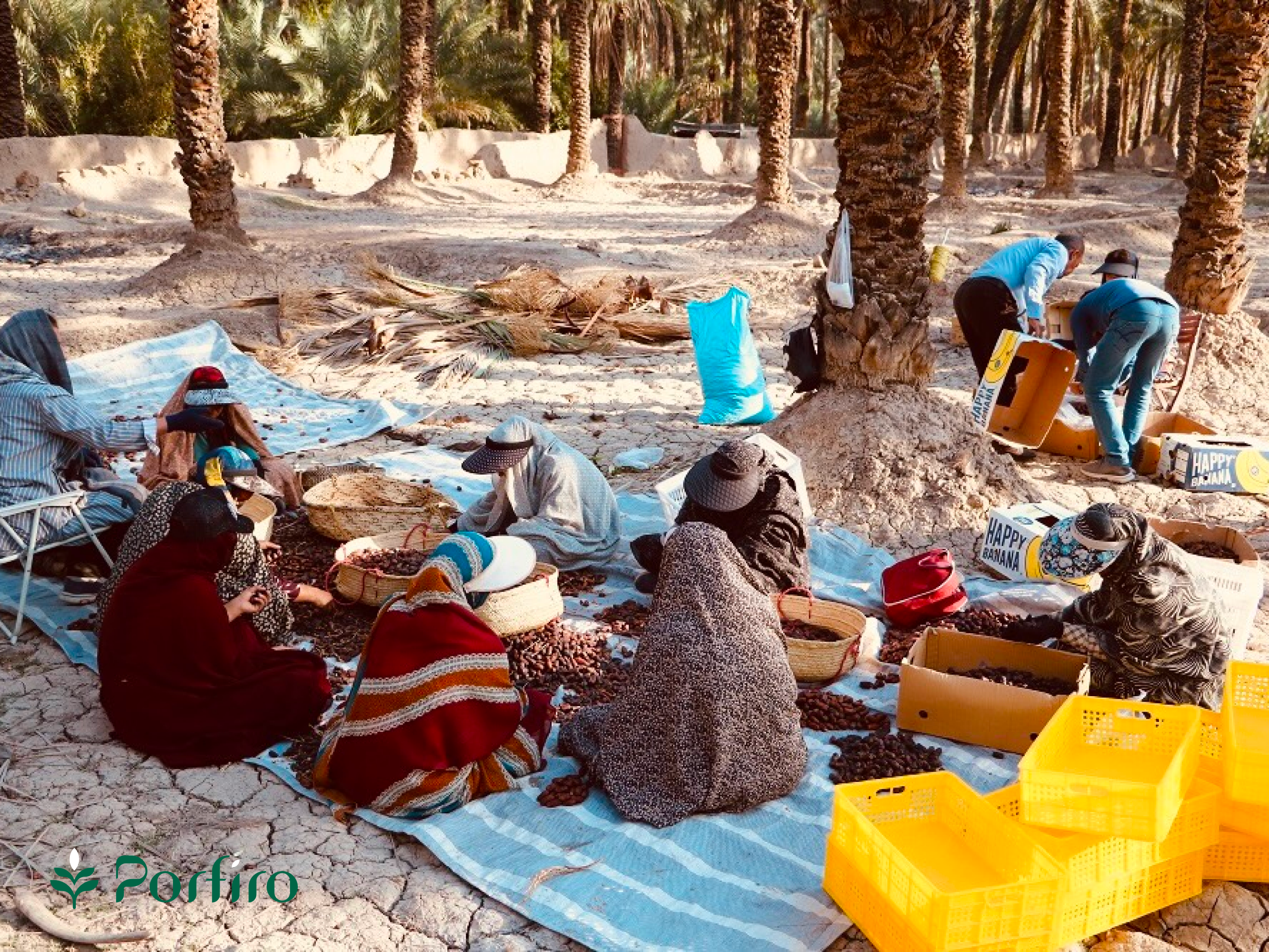 کشاورزی ارگانیک در پرفیرو تولیدات ارگانیک در پرفیرو