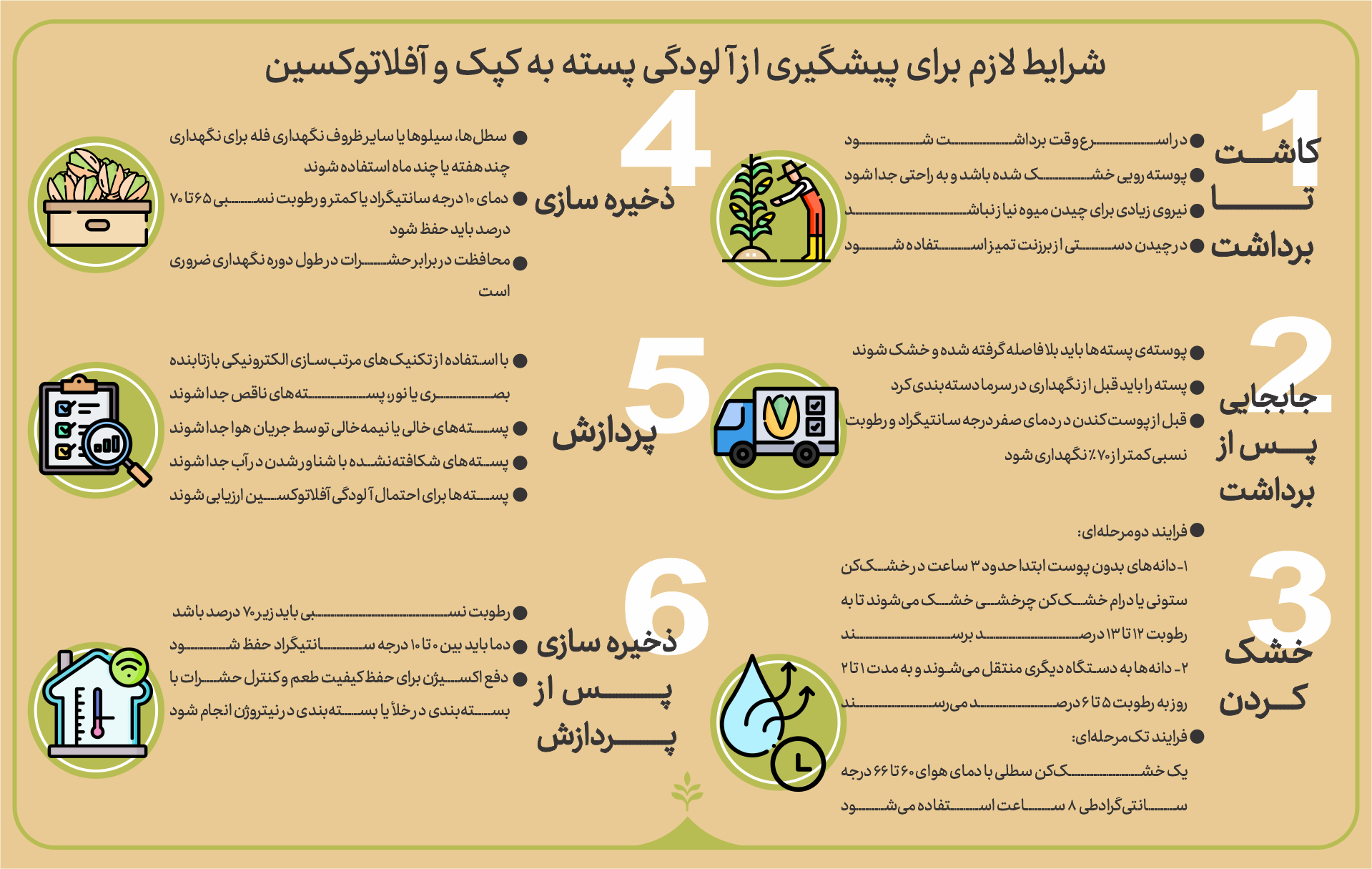 پسته و آفلاتوکسین اینفوگرافیک پیشگیری از آلودگی پسته به آفلاتوکسین