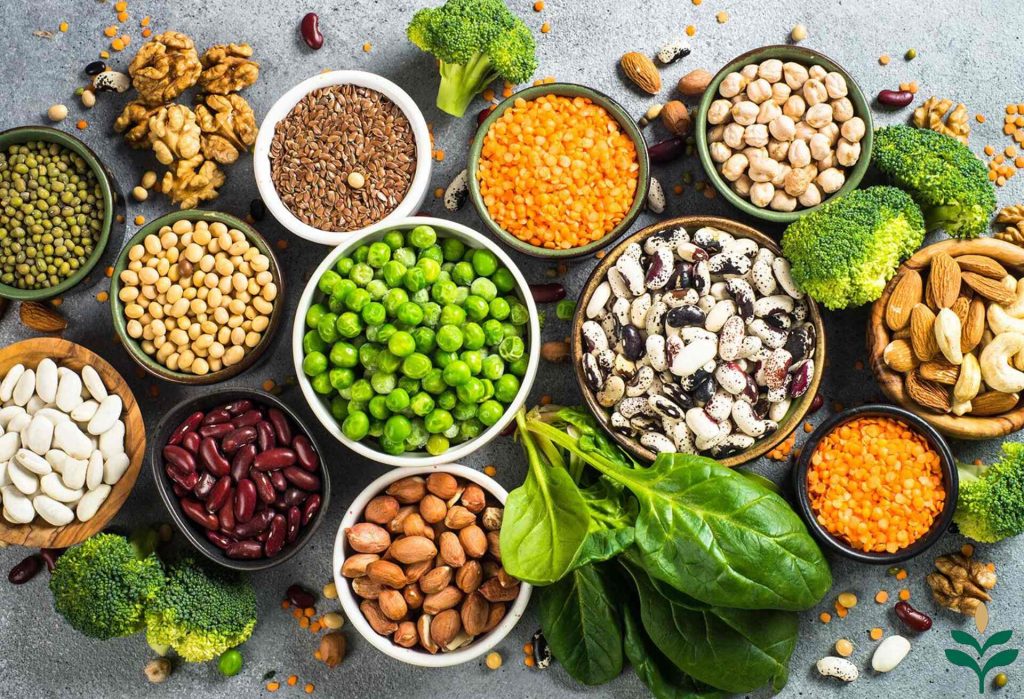 منابع گیاهی برای تامین پروتئین