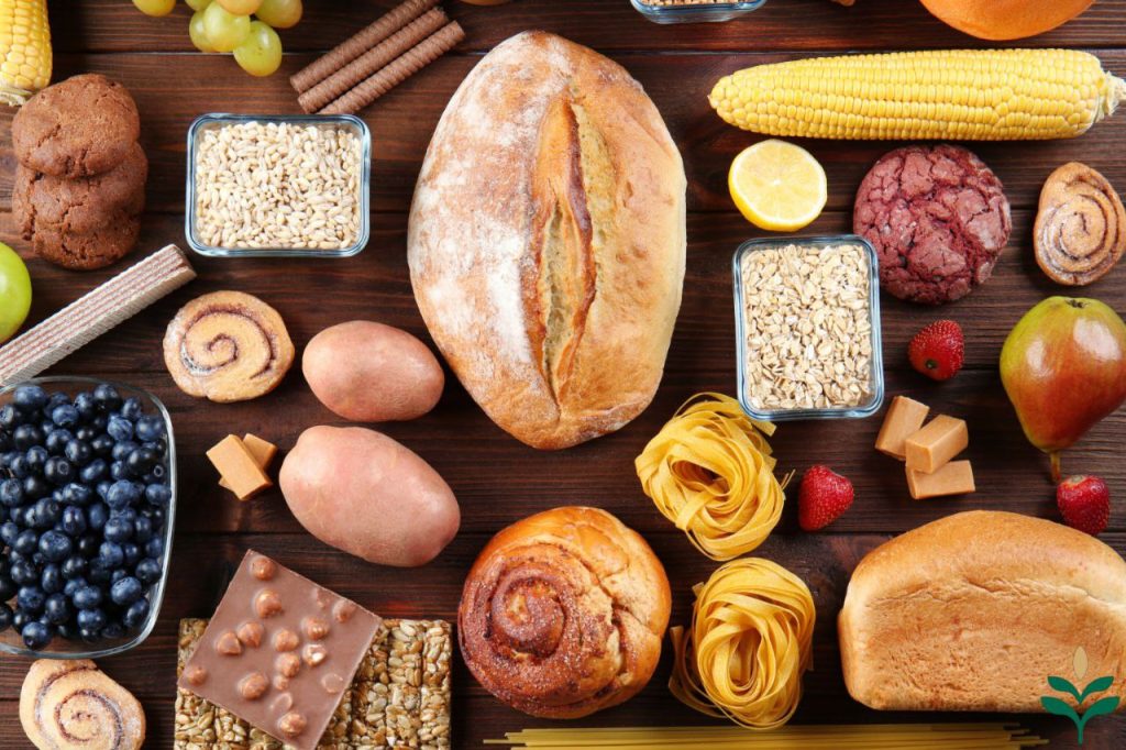 کربوهیدرات چیست