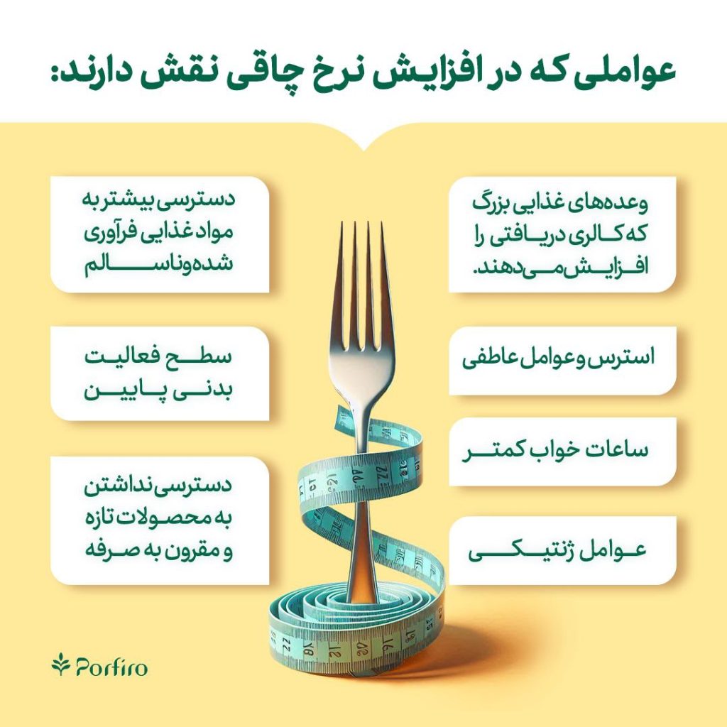 اینفوگرافی عواملی که باعث چاقی می شوند