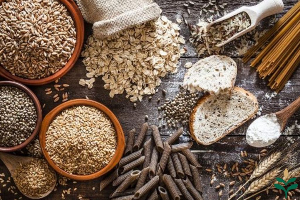 منابع مهم کربوهیدرات