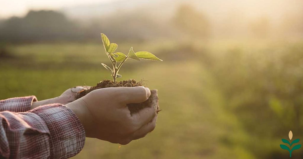 ethical food production
