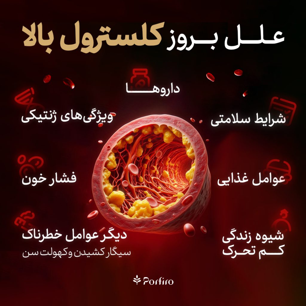 اینفوگرافیک علل کلسترول بالا