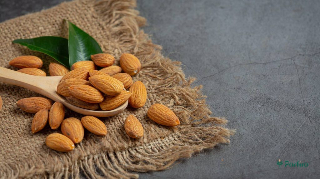 Cultural Importance of Almonds