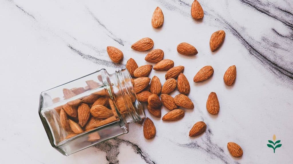 almonds are a kind of nuts good sources of fiber