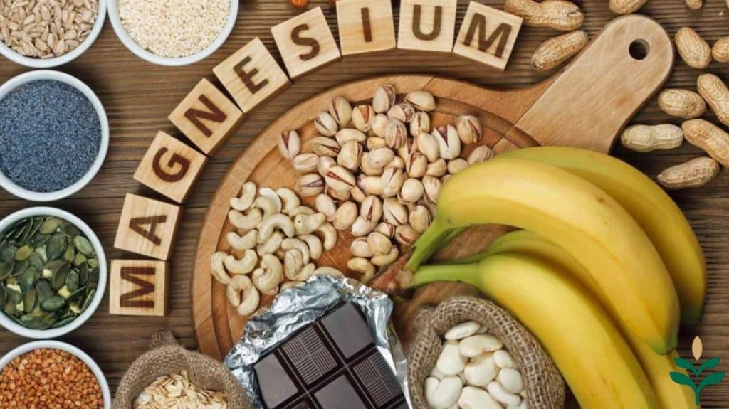 Sources of magnesium