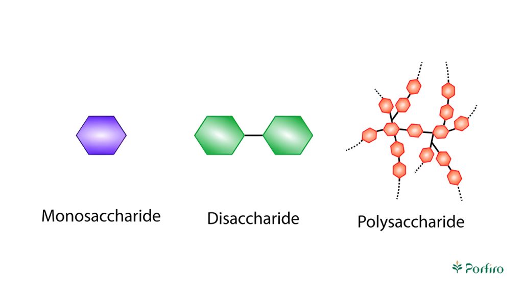 Chemical Structure of Carbohydrates Monosaccharides, Disaccharides, Polysaccharides