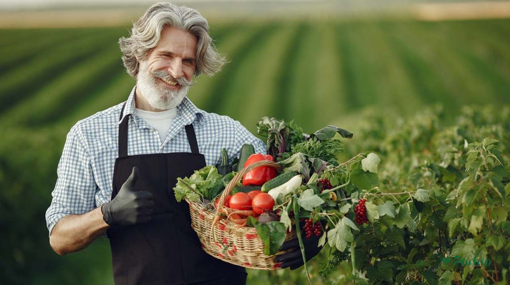 A man is happy to have picked a basket of organic produce from the farm.