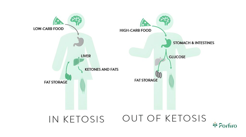 What is ketosis