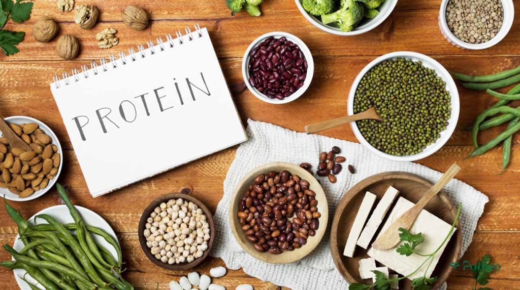 Different sources of plant protein
