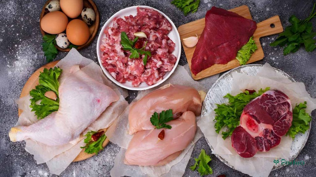 Various types of red meat, poultry and eggs garnished with parsley
