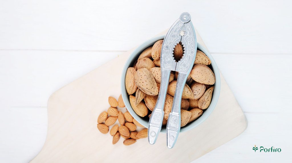 A few almonds on a plate with almond tongs on it and a few almond kernels next to the dish.