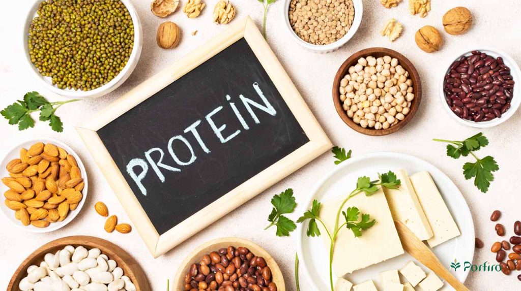 Different types of plant proteins