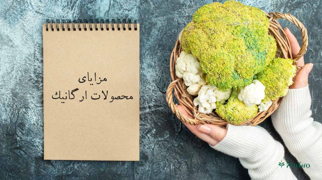 یک سبد کوچک چوبی حاوی گل کلم سفید و کلم بروکلی و یک دفتریادداشت کاغذی که روی آن مزایای محصولات ارگانیک نوشته شده است