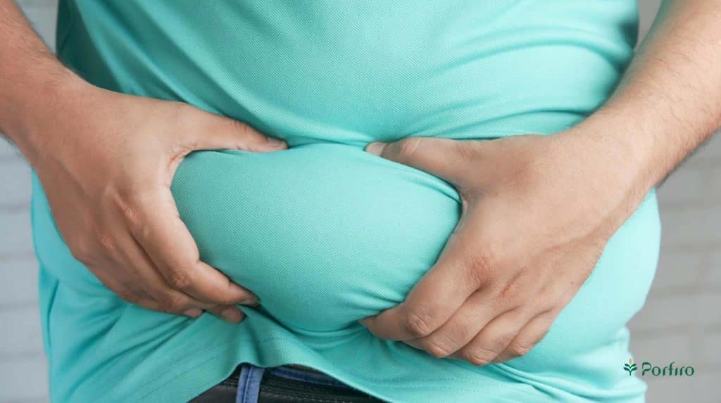 میان تنه مردی چاق که چربی شکم خود را با دست گرفته است در بلاگ پرفیرو
