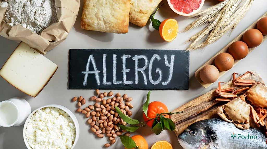 Types of food allergens around a small blackboard with the word allergy written on it