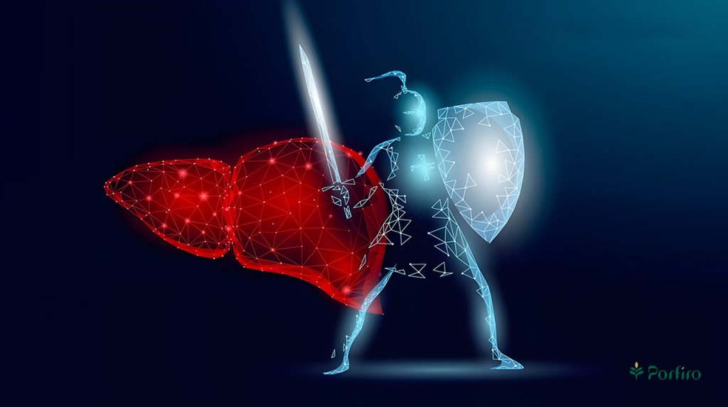 Graphic of a knight with a shield and sword taking care of a healthy liver