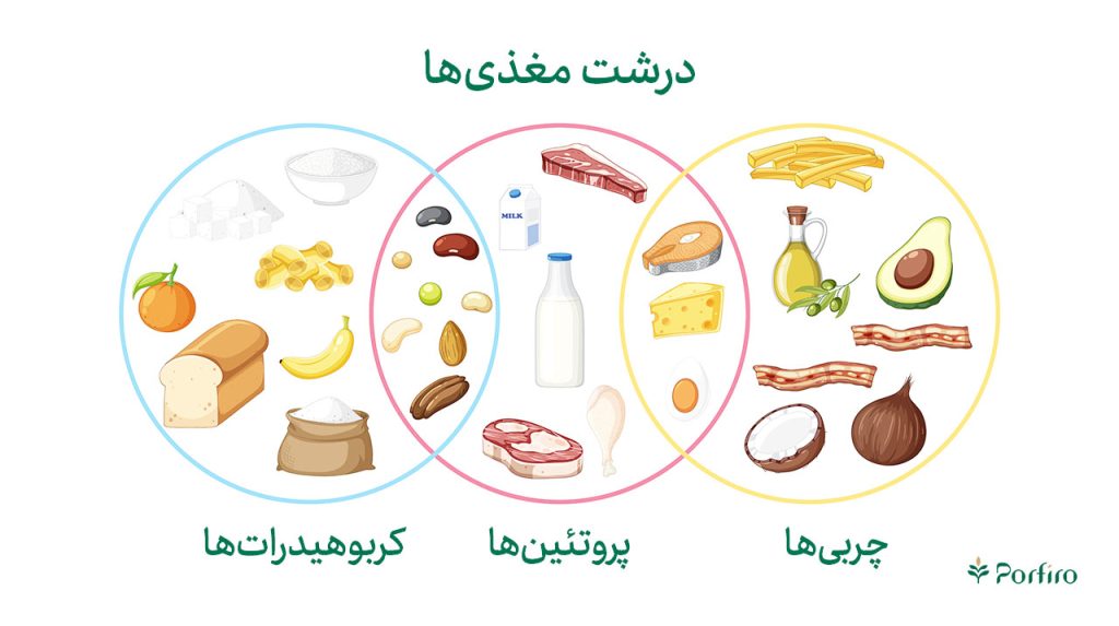 اینفوگرافیک درشت مغذی های مختلف