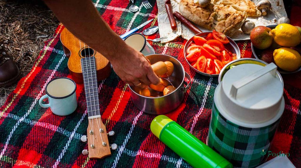 مواد غذایی آماده شده برای پیک نیک و کمپینگ