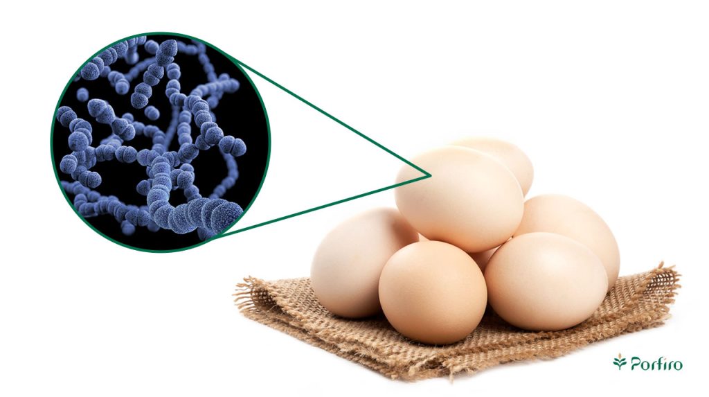 some eggs next to the food poisoning agent