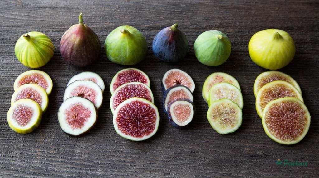 Various types of figs in different colors and sliced