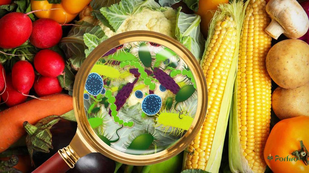 A microscopic view of food is taken, showing images of various food poisoning pathogens.
