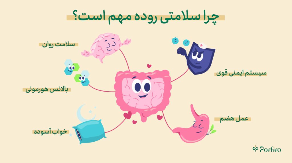 اینفوگرافیک دلایل اهمیت سلامتی روده