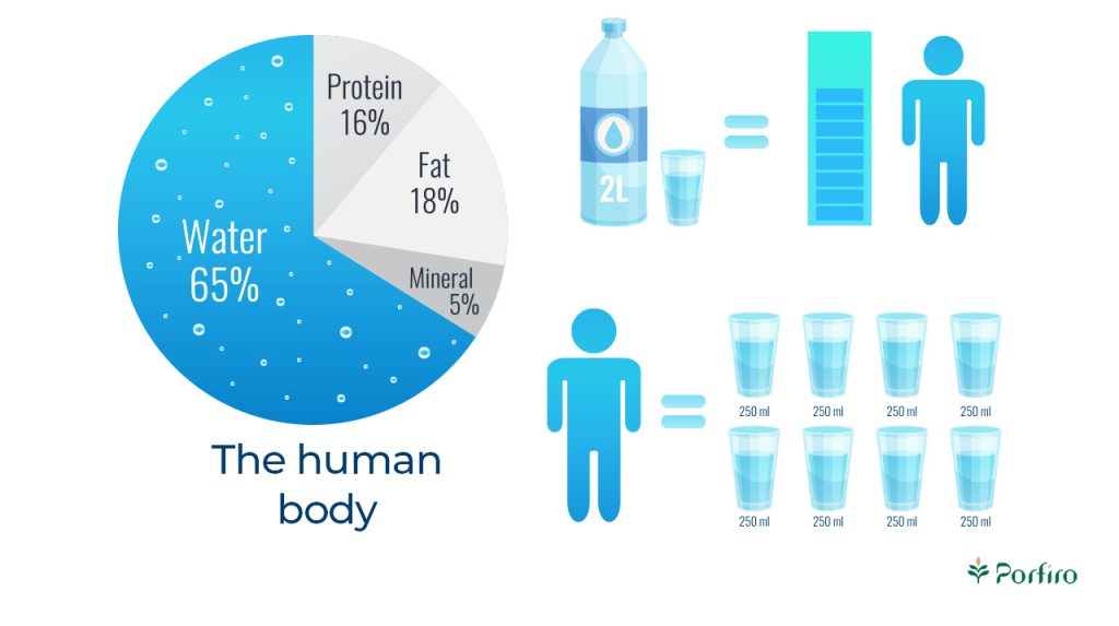Infographic to determine the amount of water the human body needs per day