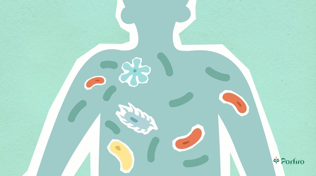 Vector of a person with some viruses and bacteria in their body.