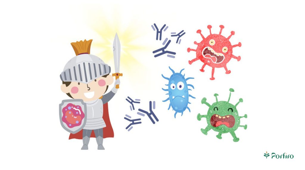 Vector of a child in a knight costume fighting against bacteria and viruses with his sword and feathers.