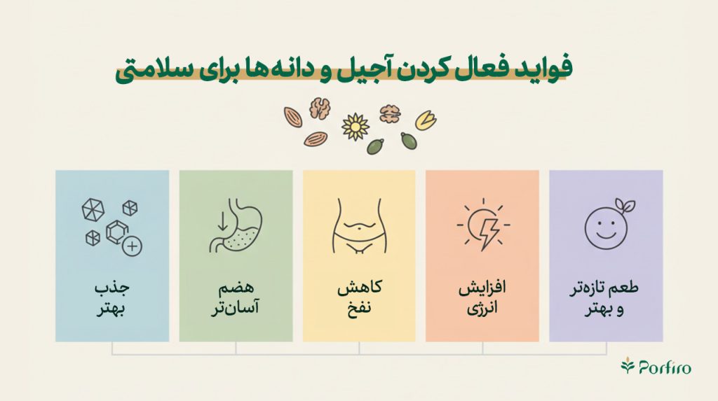 اینفوگرافیک فواید دانه و آجیل فعال شده