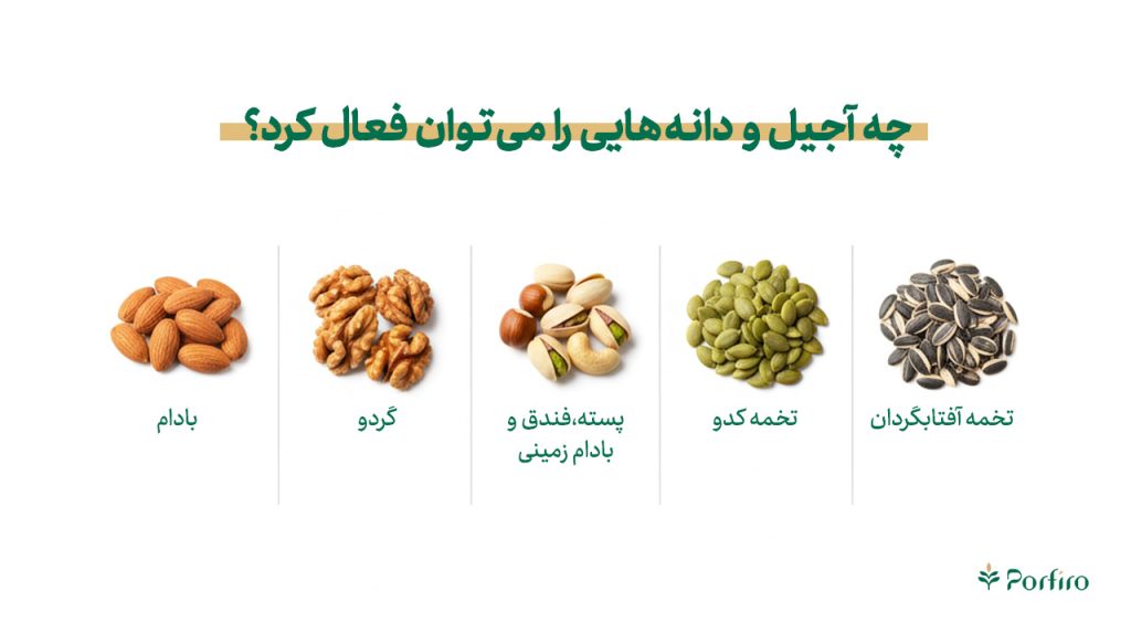 اینفوگافیک آجیل و دانه هایی که می توانند فعال شوند