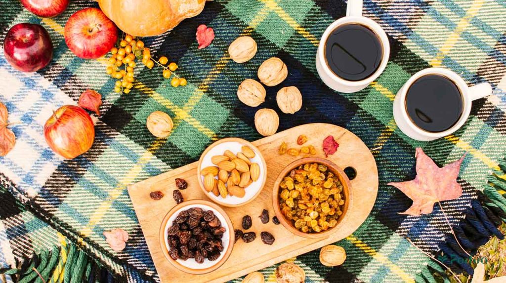 Various nuts and seeds on a travel blanket in the heart of nature for Travel Nutrition Challenges: How to Stay Healthy on Your Trips on Porfiro's blog
