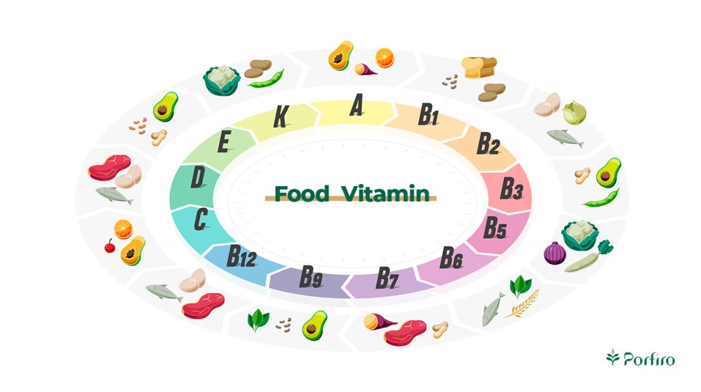 Infographic Water-soluble vitamins in nutritional science