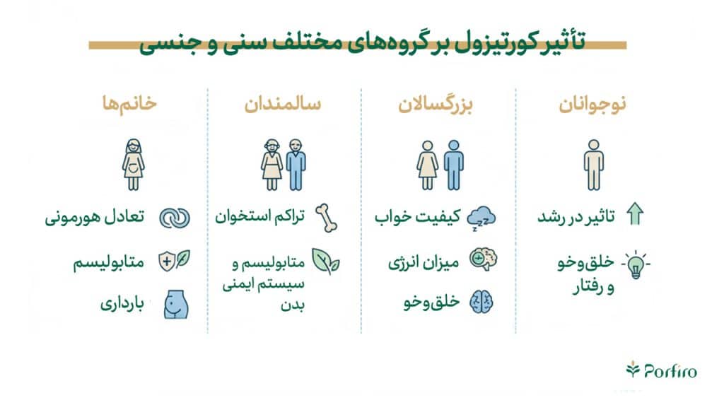 اینفوگرافیک تأثیر کورتیزول بر گروه‌های مختلف سنی و جنسی