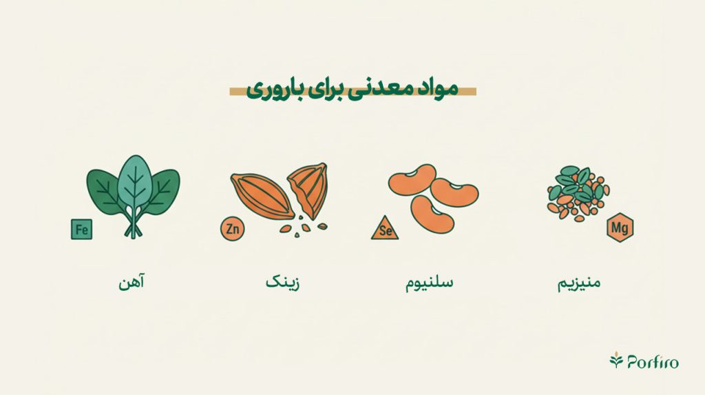 اینفوگرافیم مواد معدنی مهم برای بارداری