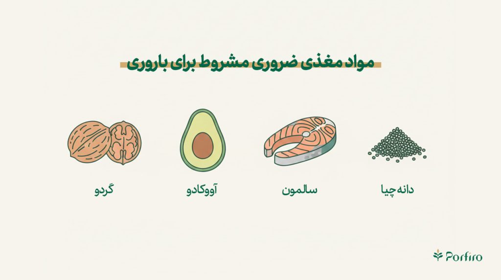 اینفوگرافیک مواد مغذی ضروری به عنوان بخش از نقش تغذیه در باروری