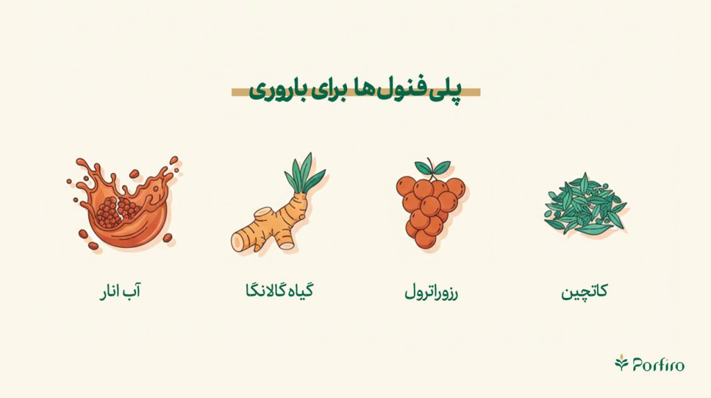 اینفوگرافیک نقش پلی فنول ها برای باروری