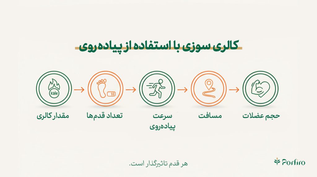 اینفوگرافیک کالری سوزی با استفاده از پیاده روی