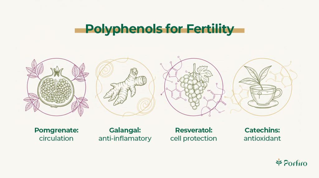 Polyphenols for fertility in the article Role of nutrition in fertility on the Porfiro blog