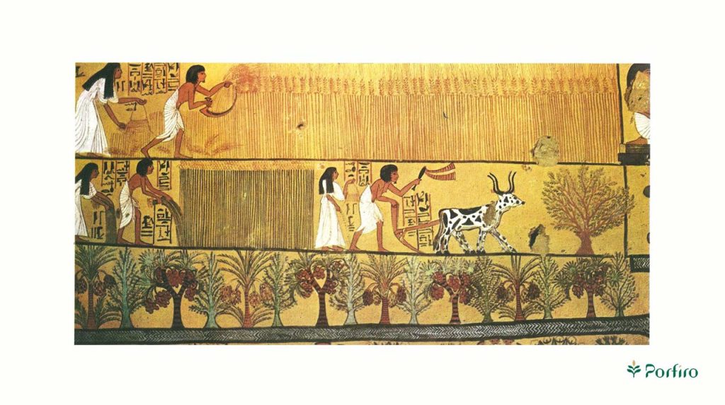 A historical painting from Egypt showing workers working in the fields for the article on International Farm Workers Day on the Porfiro blog.