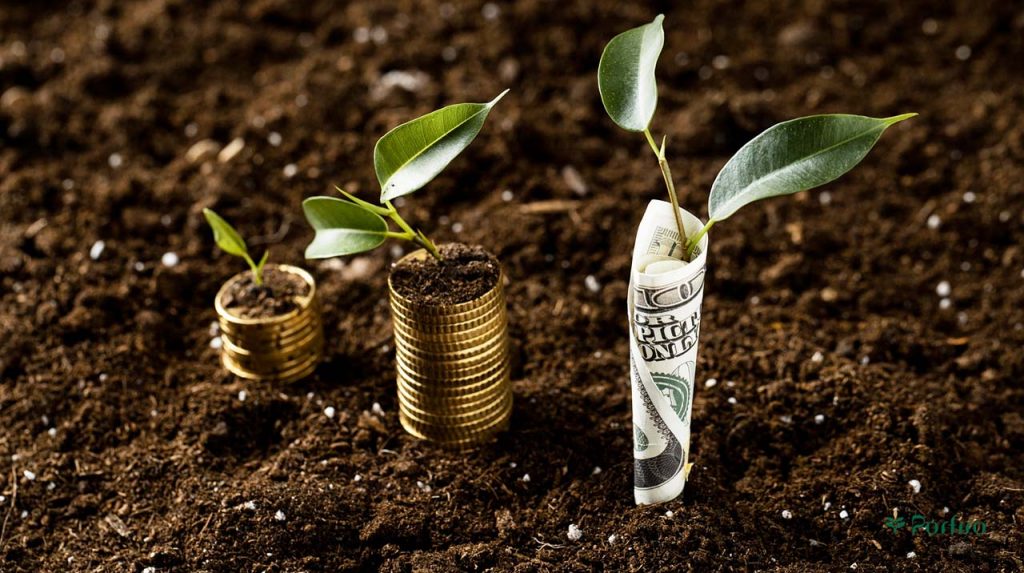 Young seedlings growing on banknotes and coins in a farm setting for the International Farm Workers Day article on Porfiro's blog