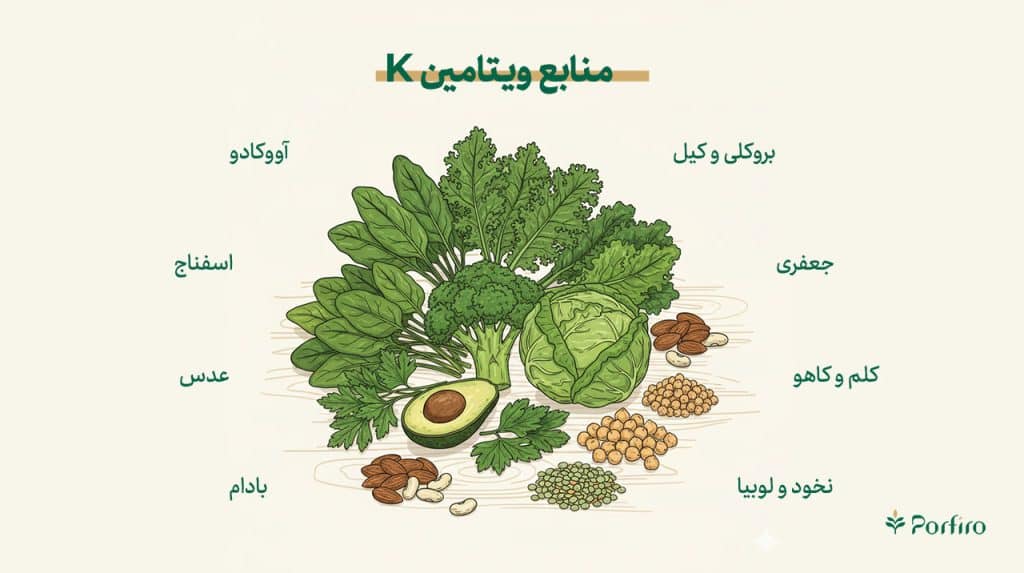 اینفوگرافیک بهترین‌ غذاها برای تامین ویتامین کا 