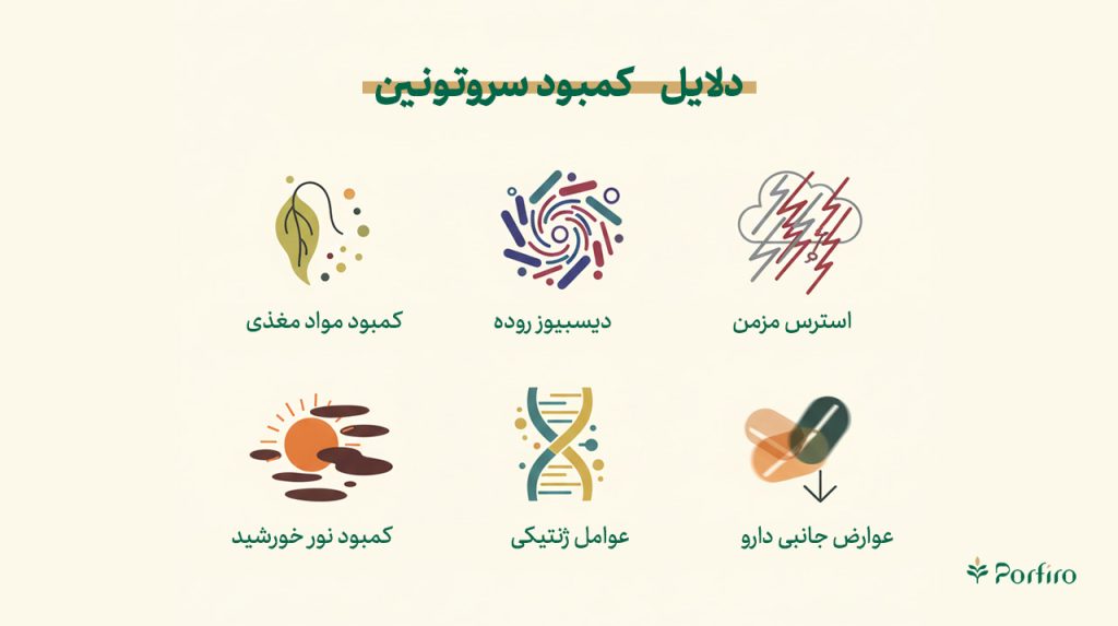 اینفوگرافیک دلایل کمبود سروتونین در بدن