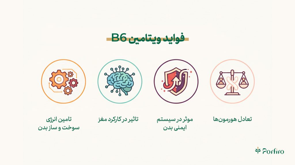 اینفوگرافیک فواید ویتامین ب۶