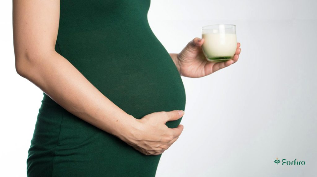 A pregnant woman holds a glass of milk for the article Nutrition in Pregnancy: Essential Nutritional Considerations You Need to Know on the Porfiro blog.
